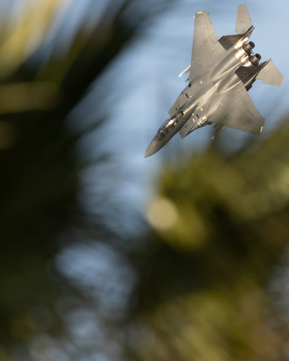 ✈️ 𝑄𝑢𝑒𝑒𝑛 𝑀𝑎𝑦𝑎 🍁 11✨11 ❤️⚜️❤️ tweet media