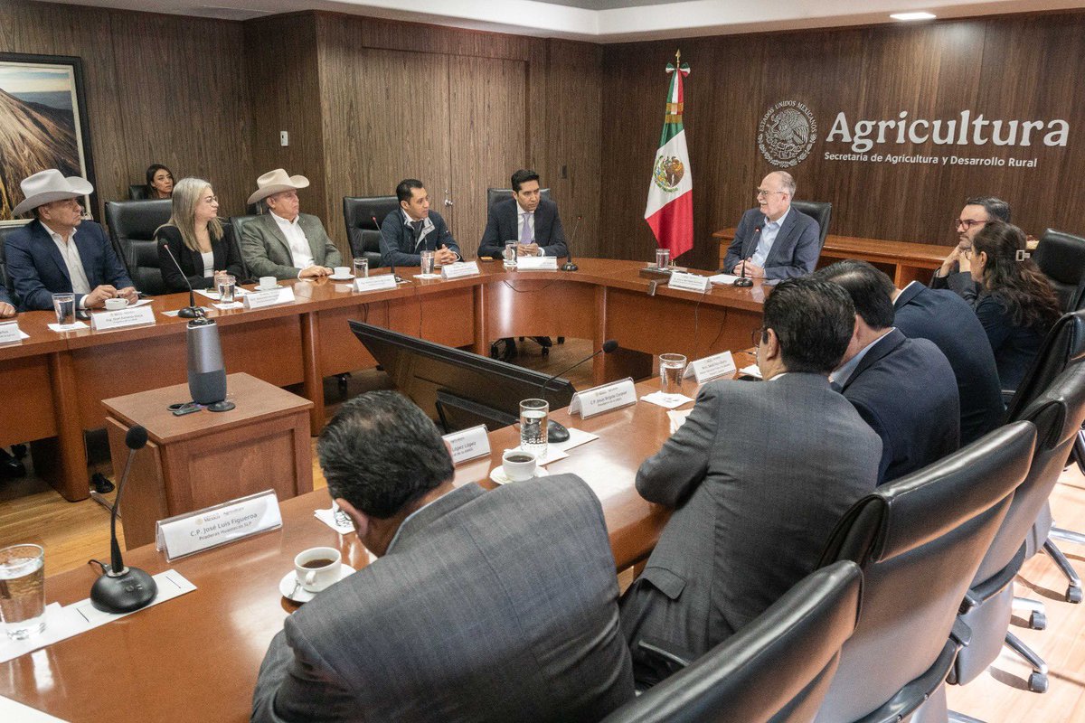 Julio Berdegué tweet media