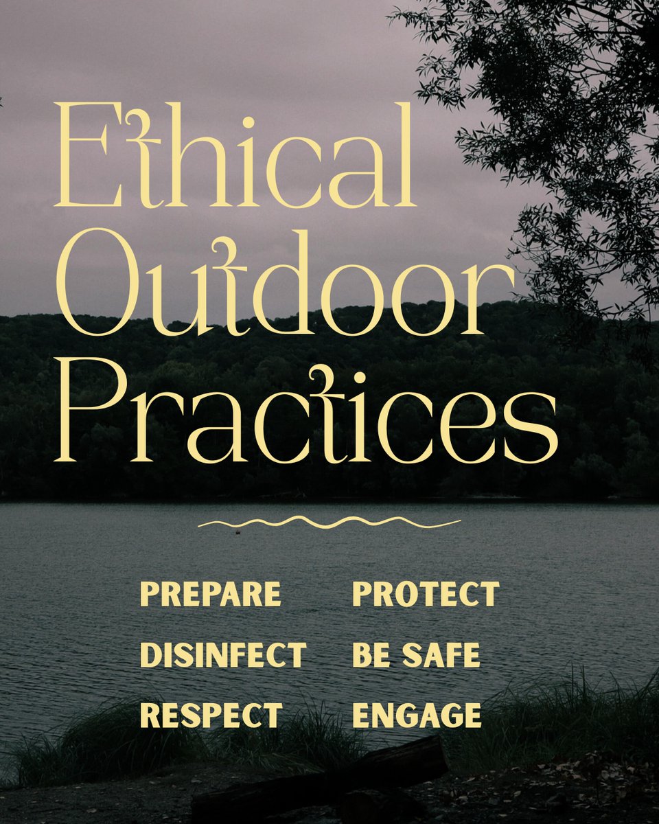 SEPARC's tweet image. What more is there to learn? 🤔 PARC has an awesome online guide titled, "Intro to Ethical Outdoor Practices." Read it at parcplace.org/education/herp… or via the link in our bio! #PARC #ARC #Herpethics #SEPARC