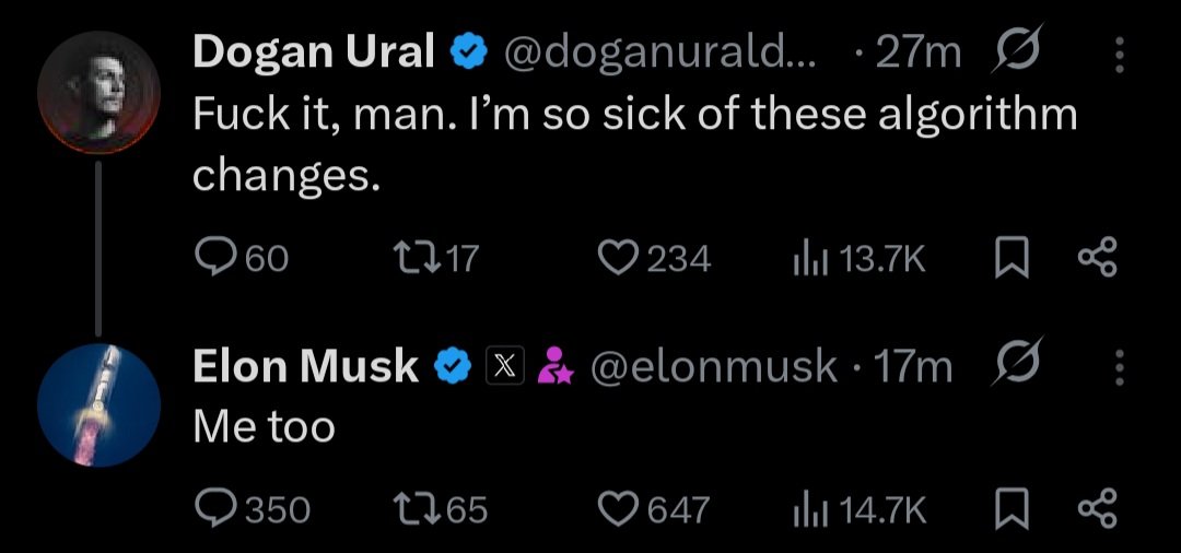 BigbirdYin tweet media