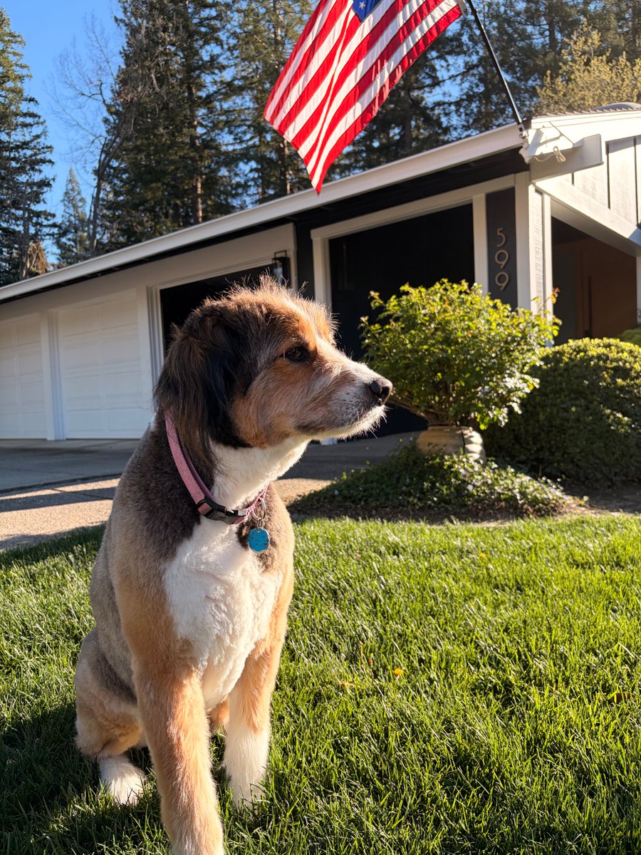 slackbar tweet media