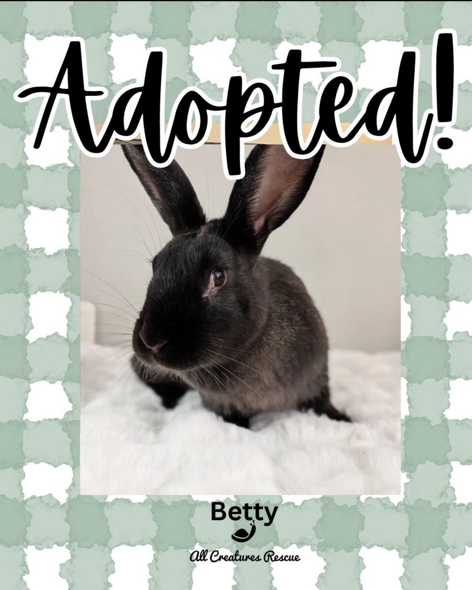 All Creatures Rescue tweet media