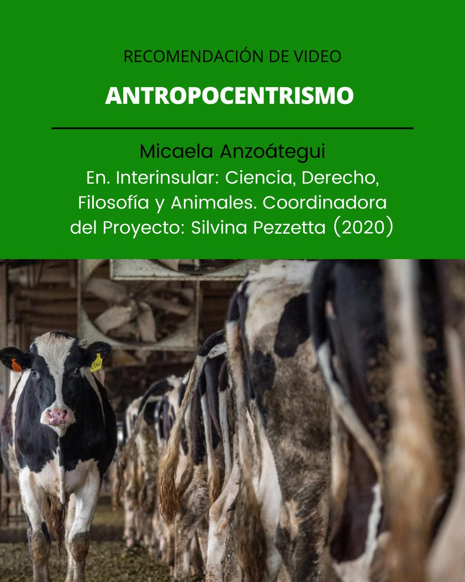 Recomendación de video 📽️

"Antropocentrismo"
Compartimos esta intervención de Micaela Anzoátegui donde define y problematiza el antropocentrismo en clave contemporánea 

Miralo aquí: youtube.com/watch?v=qqi5Df…