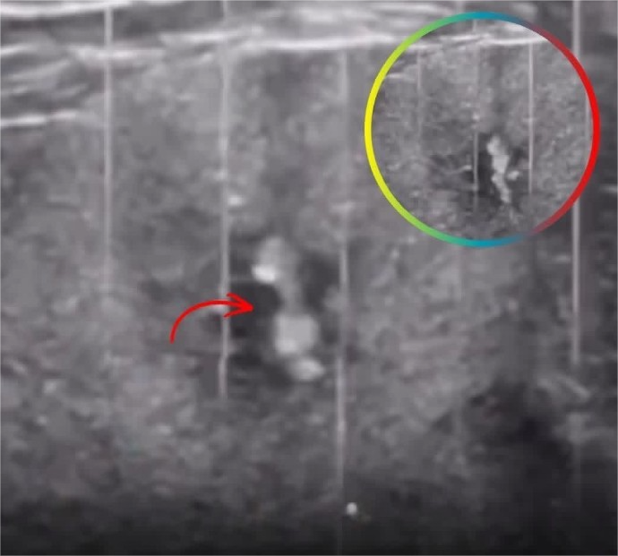 All day Astronomy tweet media