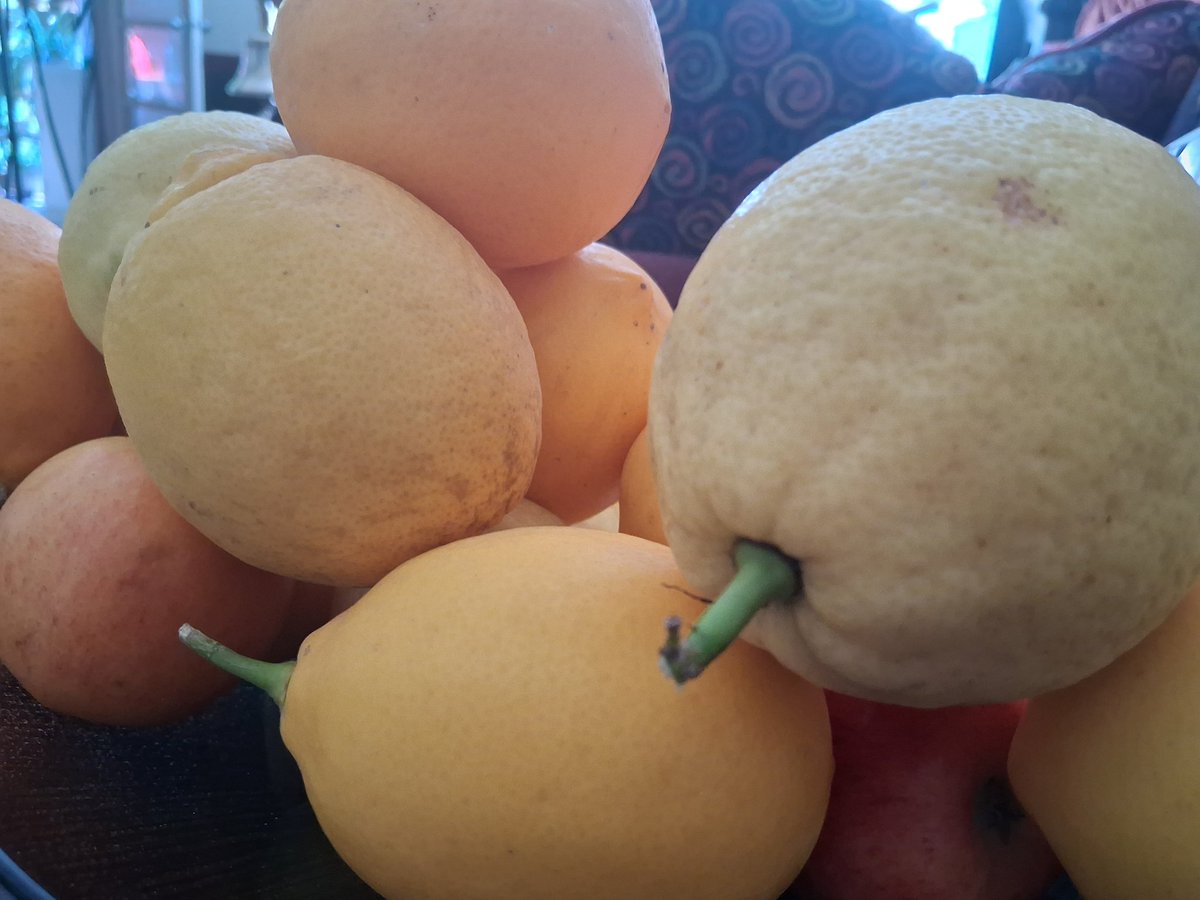 Starshining tweet media