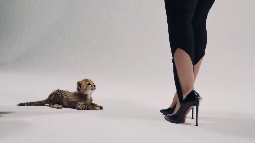 Latto Statistics tweet media