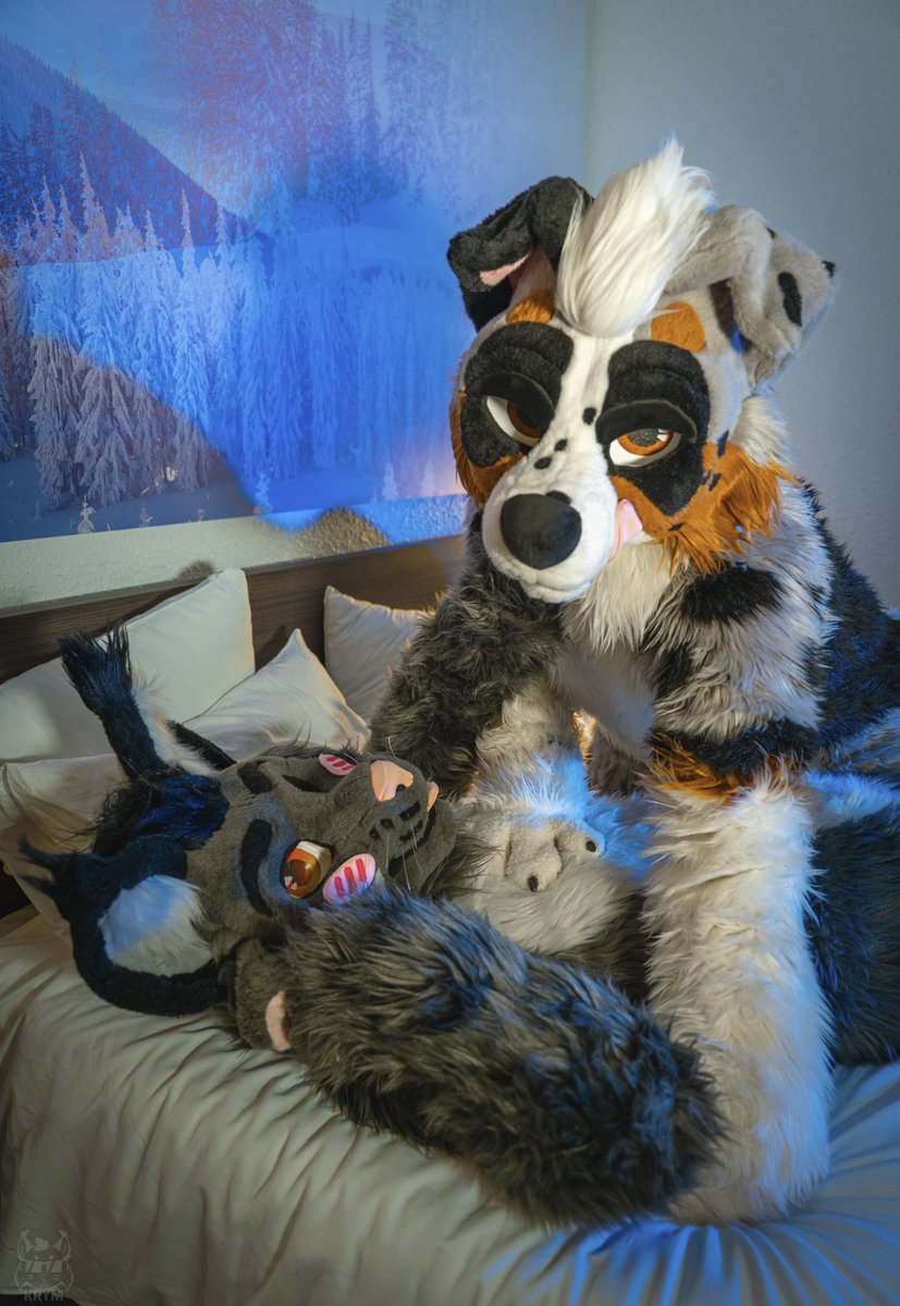 Krym🐾 tweet media