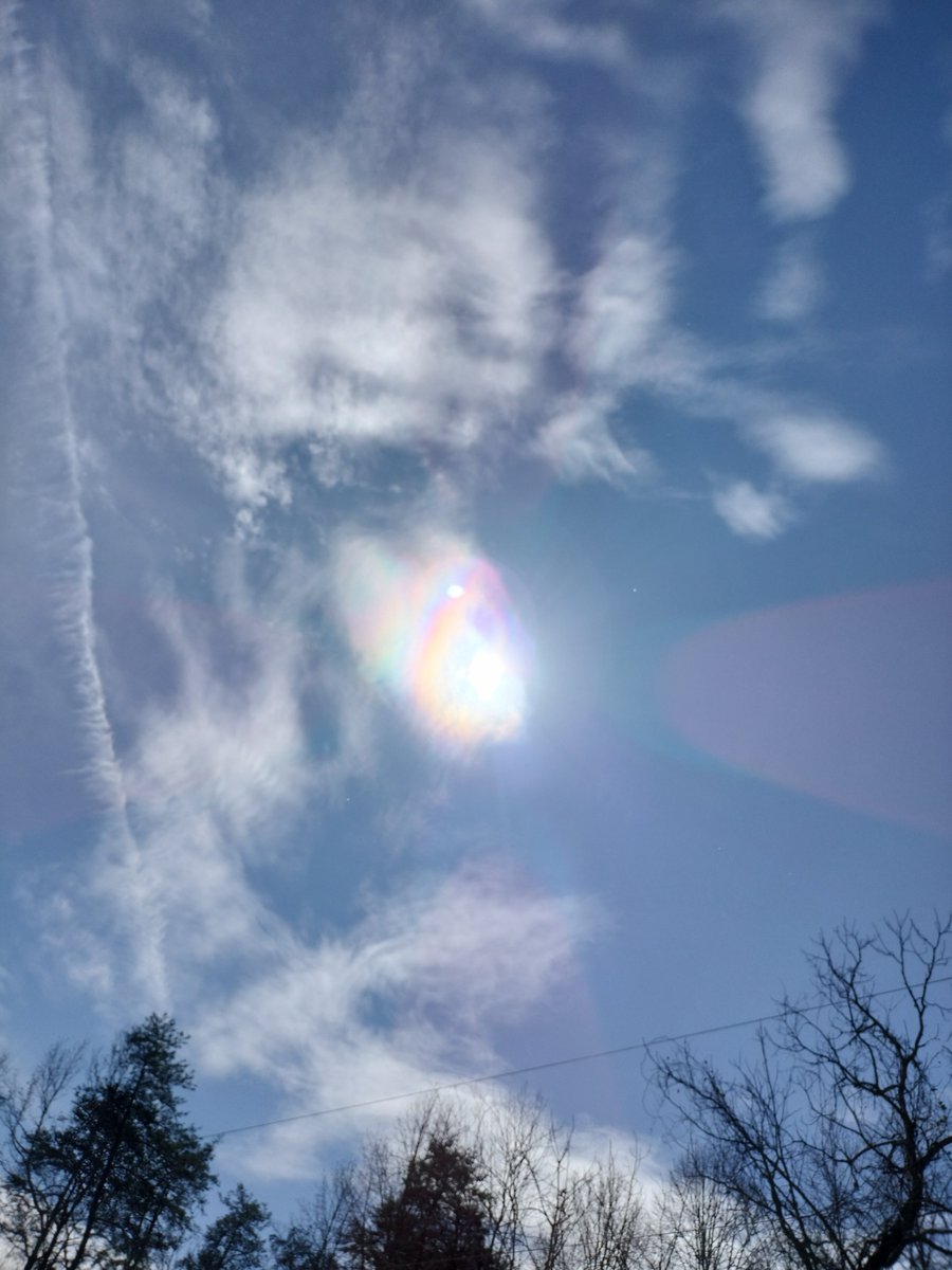 Debbie Moreland tweet media