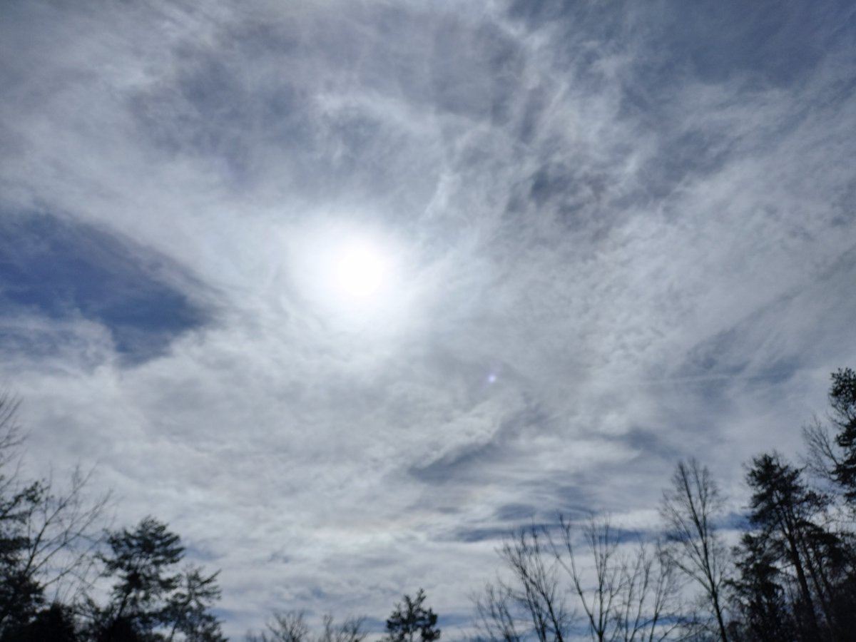 Debbie Moreland tweet media