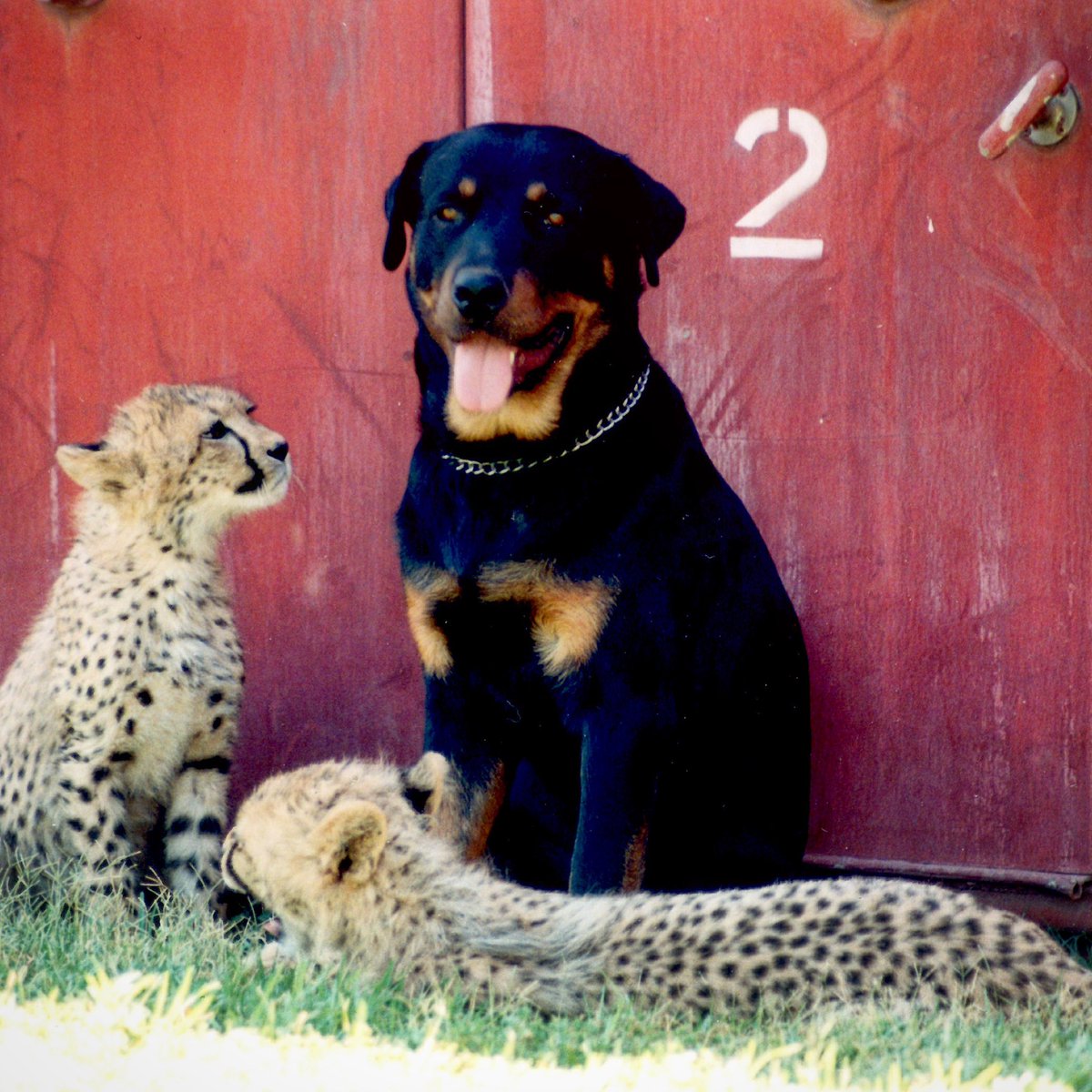 Marie Veverka tweet media