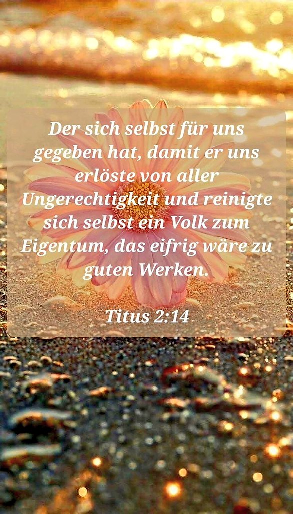 ꧁⎝𝔹𝕒𝕣𝕓𝕒𝕣𝕒⎠꧂ tweet media