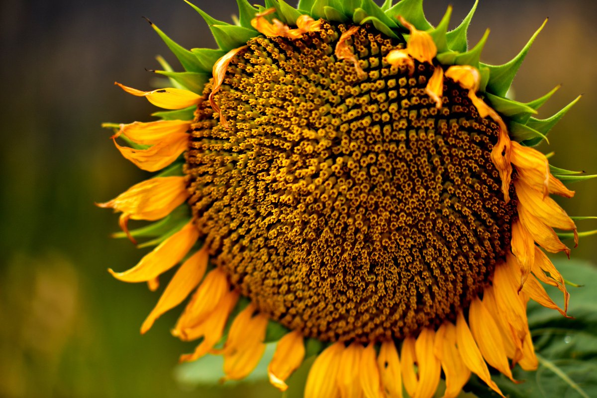 John Moreno tweet media