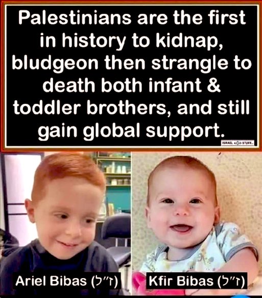 Liza Rosen tweet media