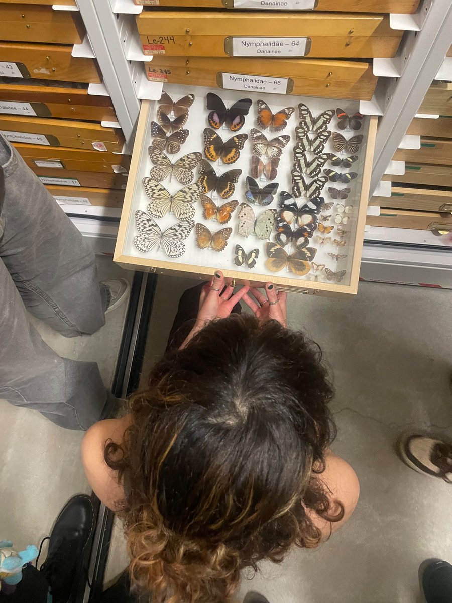 egg 🇵🇸 tweet media