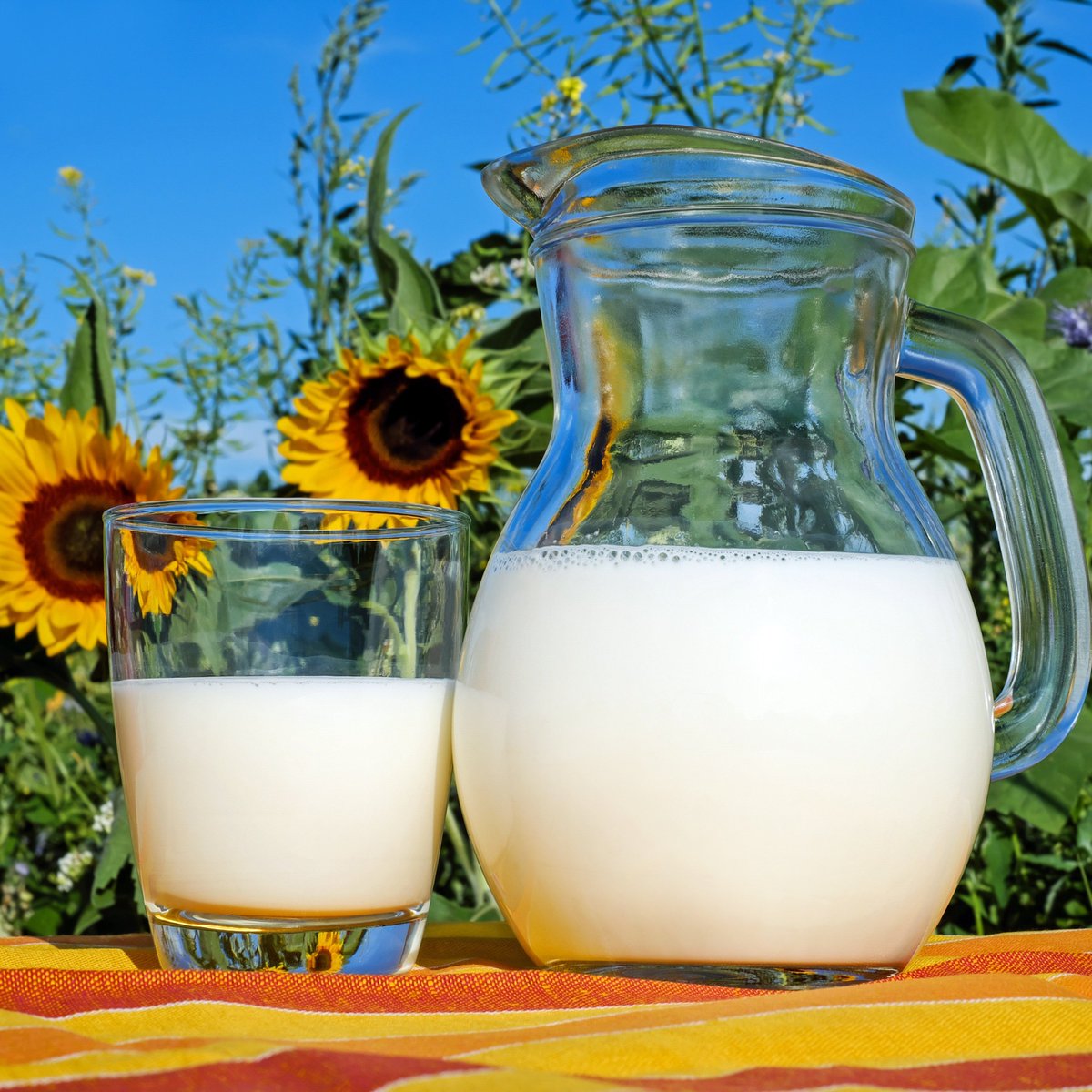 GlobalStatsX tweet media