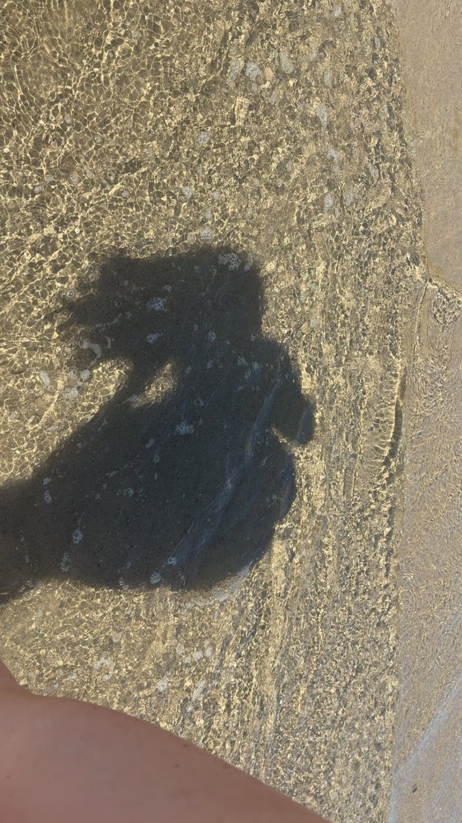 .•PixieLovely•. tweet media