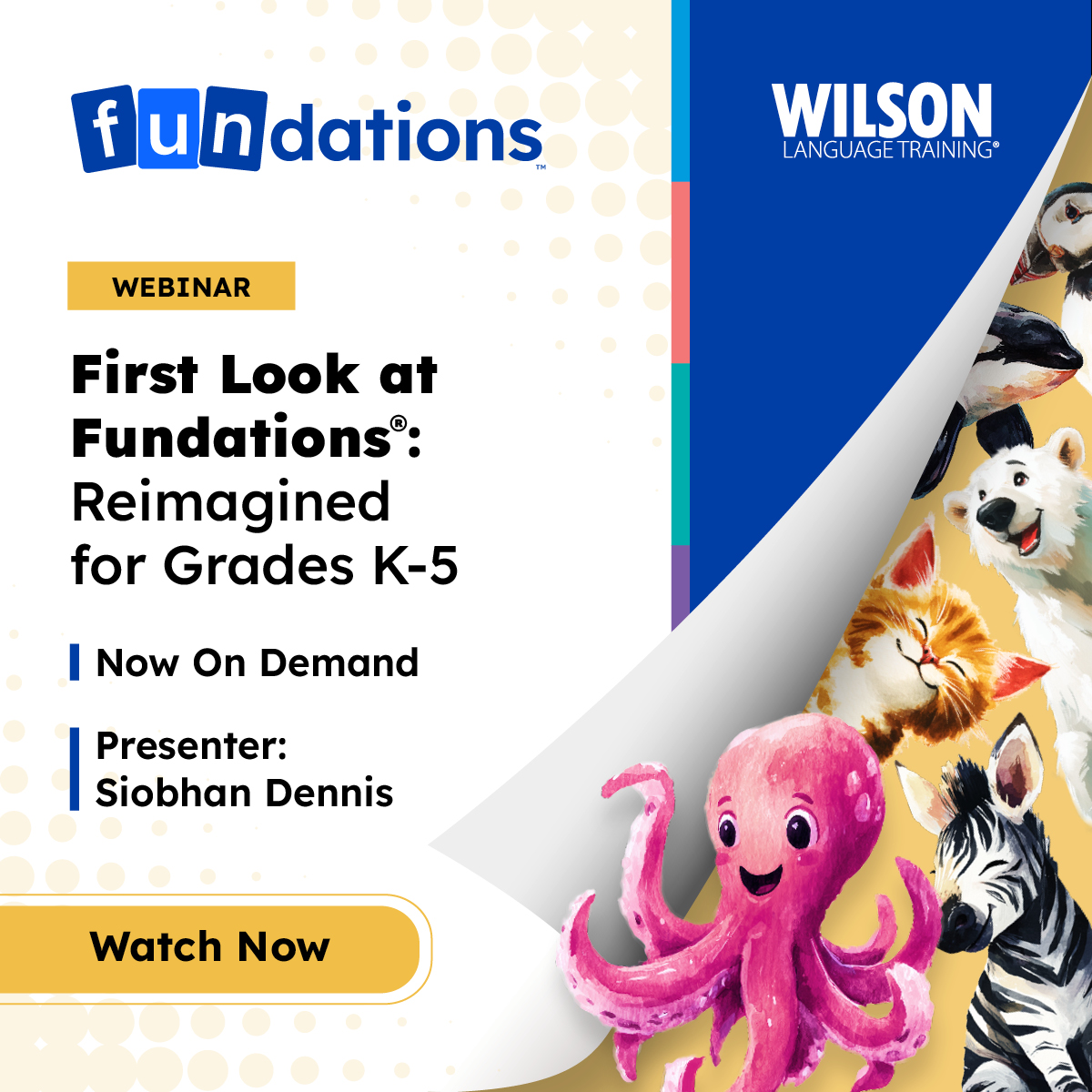 Wilson Language Training tweet media