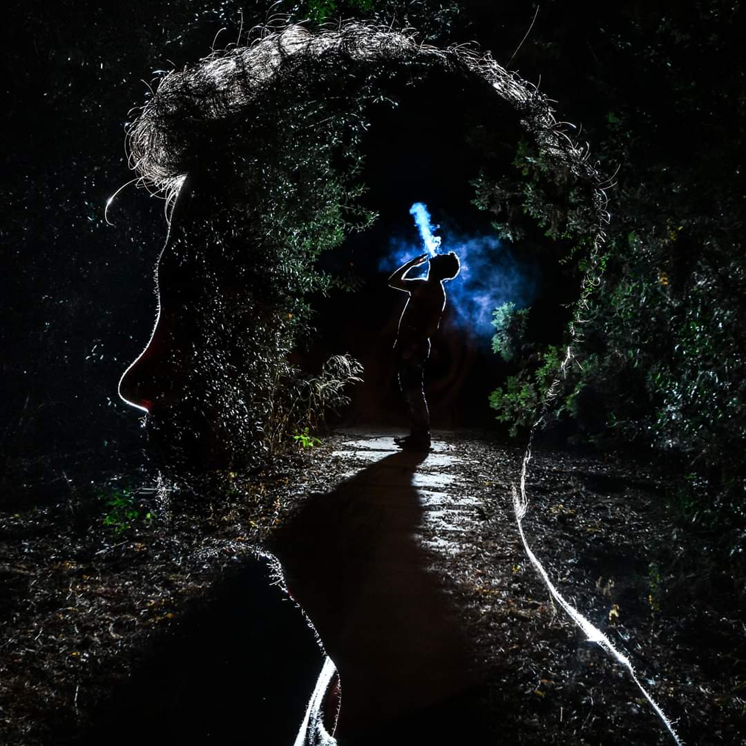 SketchLight tweet media