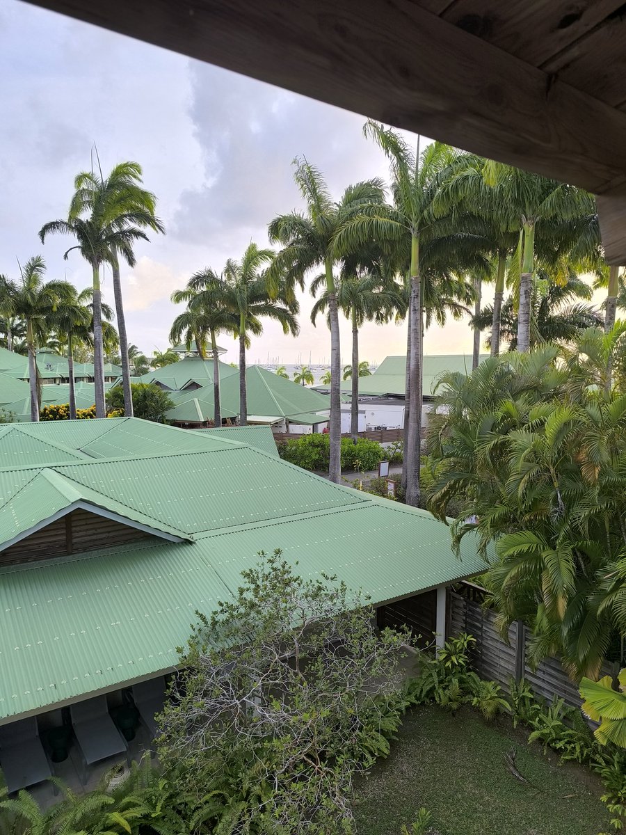 SebG 🌸🇫🇷 tweet media