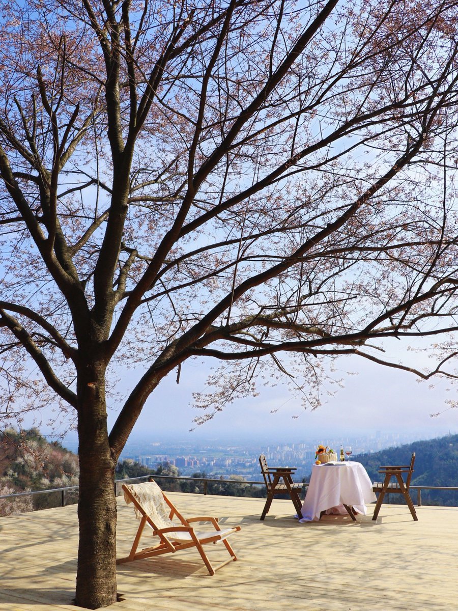 James Garner tweet media