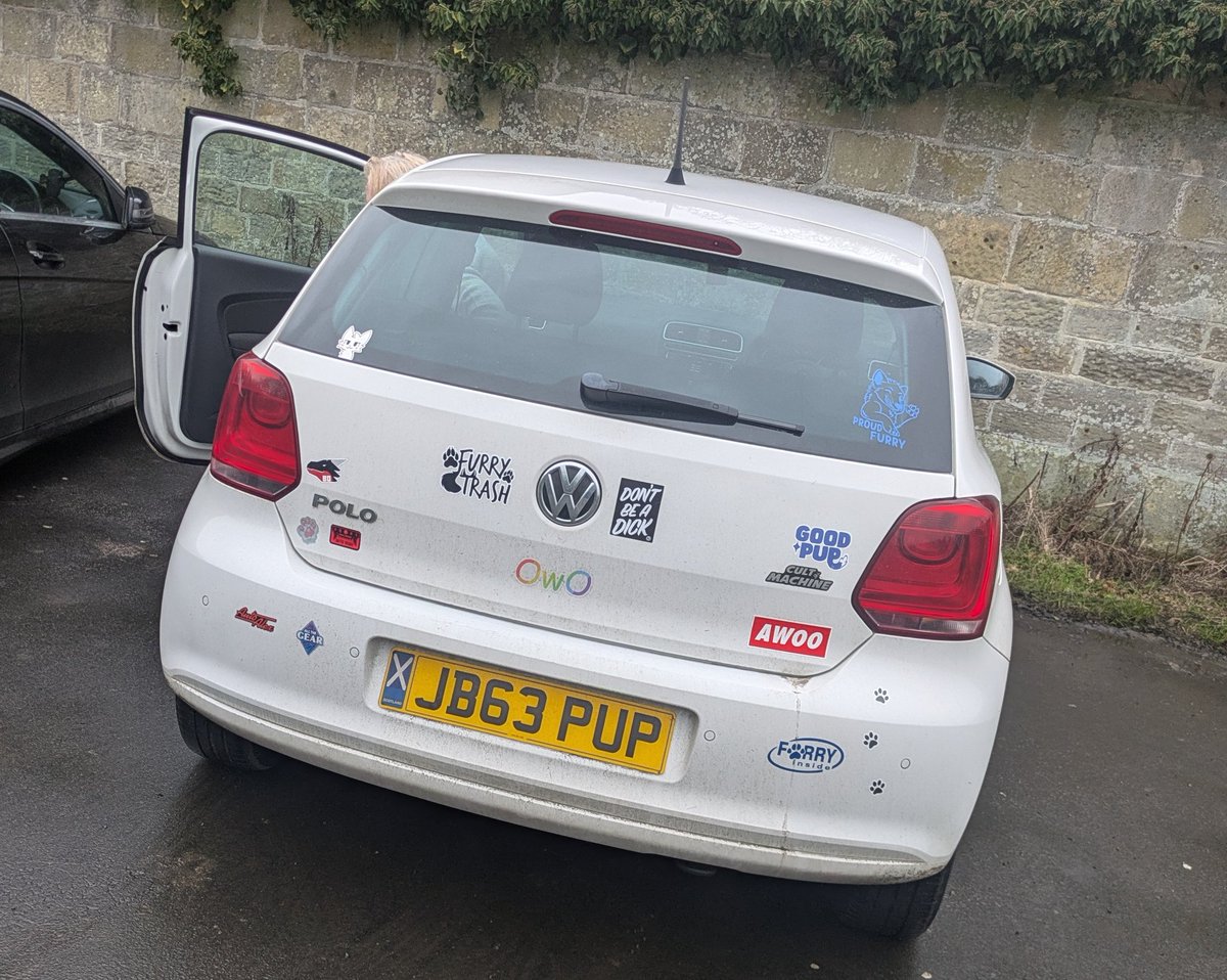 BlakeHusky🐾🦴 tweet media