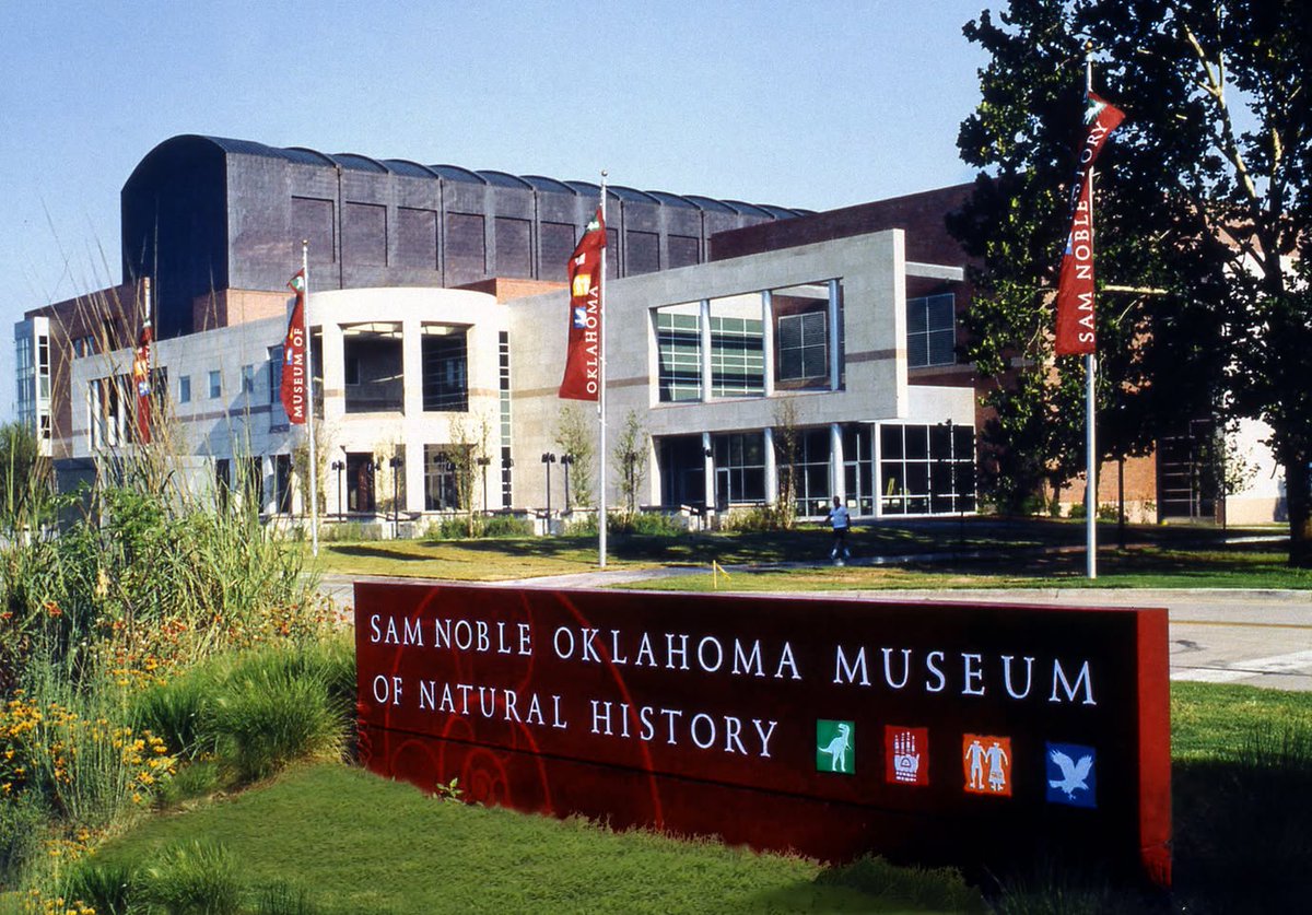 Dr. Davey F. Wright ⛏️🦕🧬 tweet media