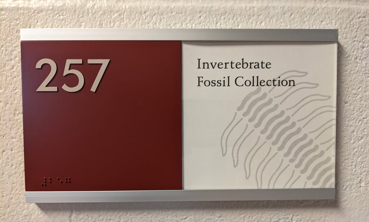 Dr. Davey F. Wright ⛏️🦕🧬 tweet media