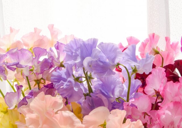 katy1953 （♂🇯🇵政治に興味を🇯🇵） tweet media