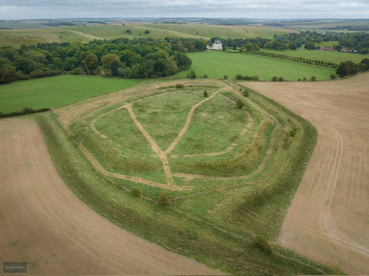 𝙃𝙚𝙙𝙡𝙚𝙮 𝙏𝙝𝙤𝙧𝙣𝙚 tweet media