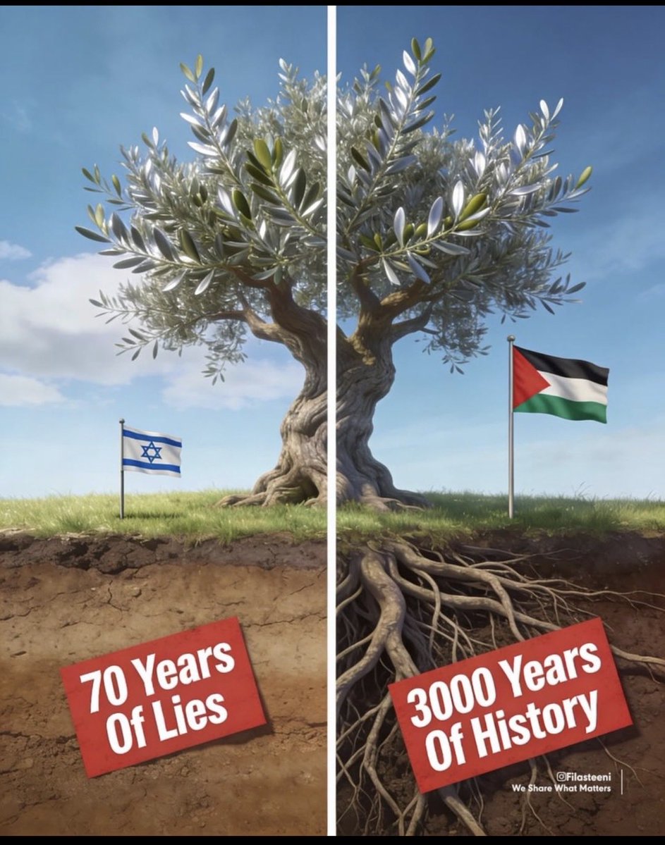 Myl 🇨🇦 tweet media