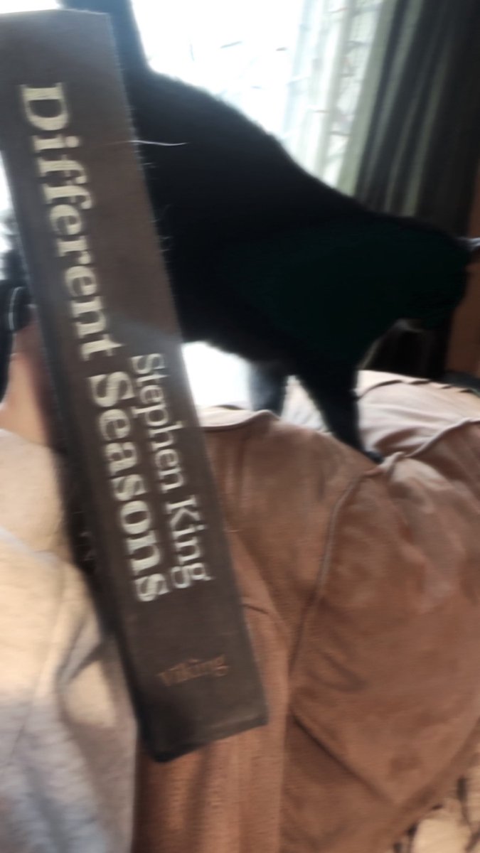 mary 𑁤 tweet media