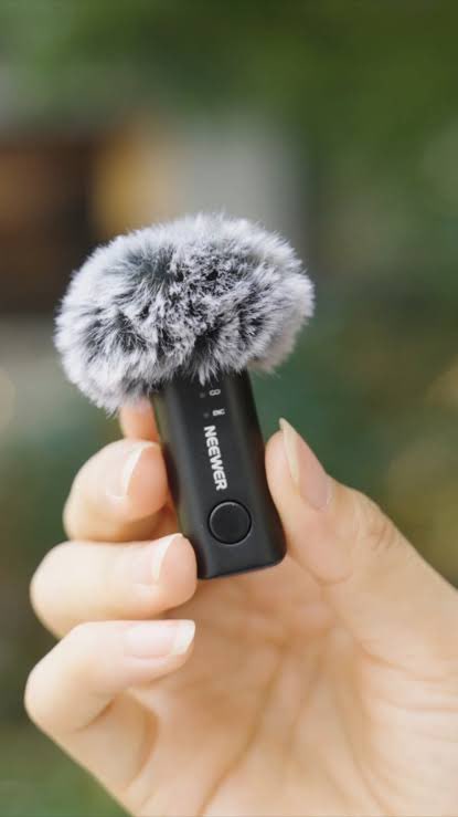 ⟠Palis⟠🐍 tweet media