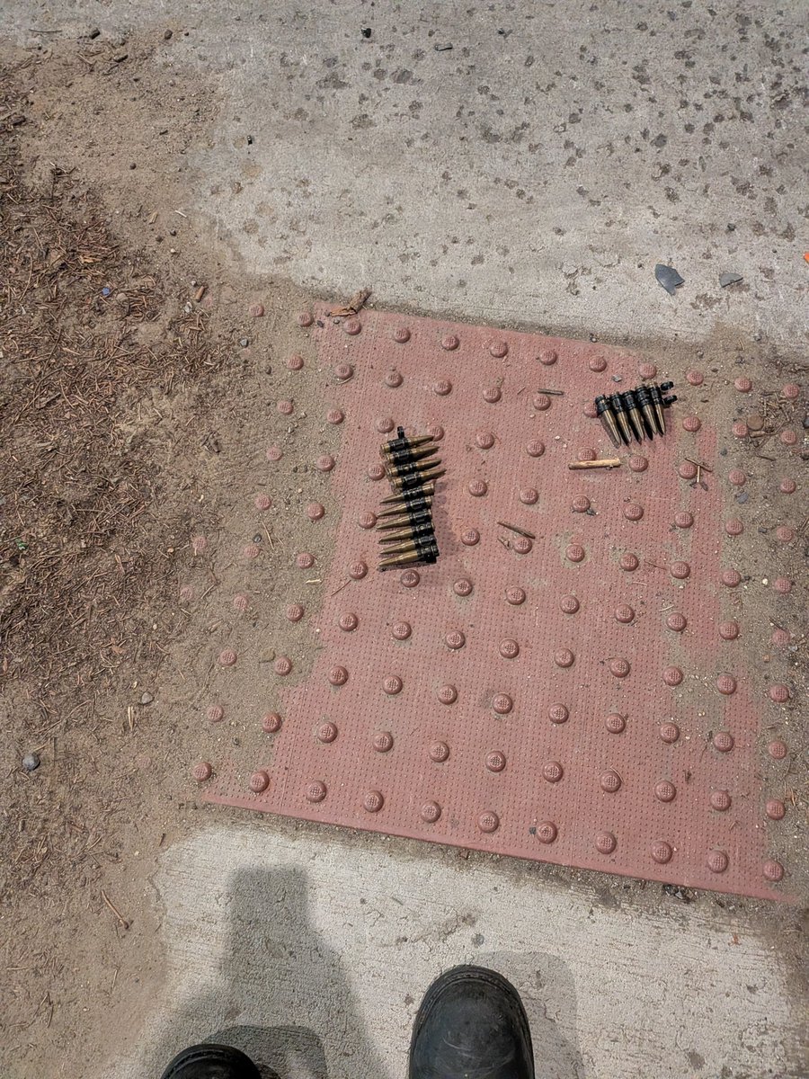 Tommy Fushigi 𓅰 tweet media