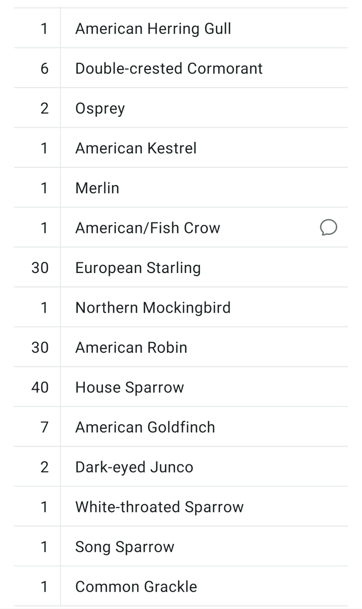 WEIRD DUCK SEASON ENJOYER 🦆 tweet media