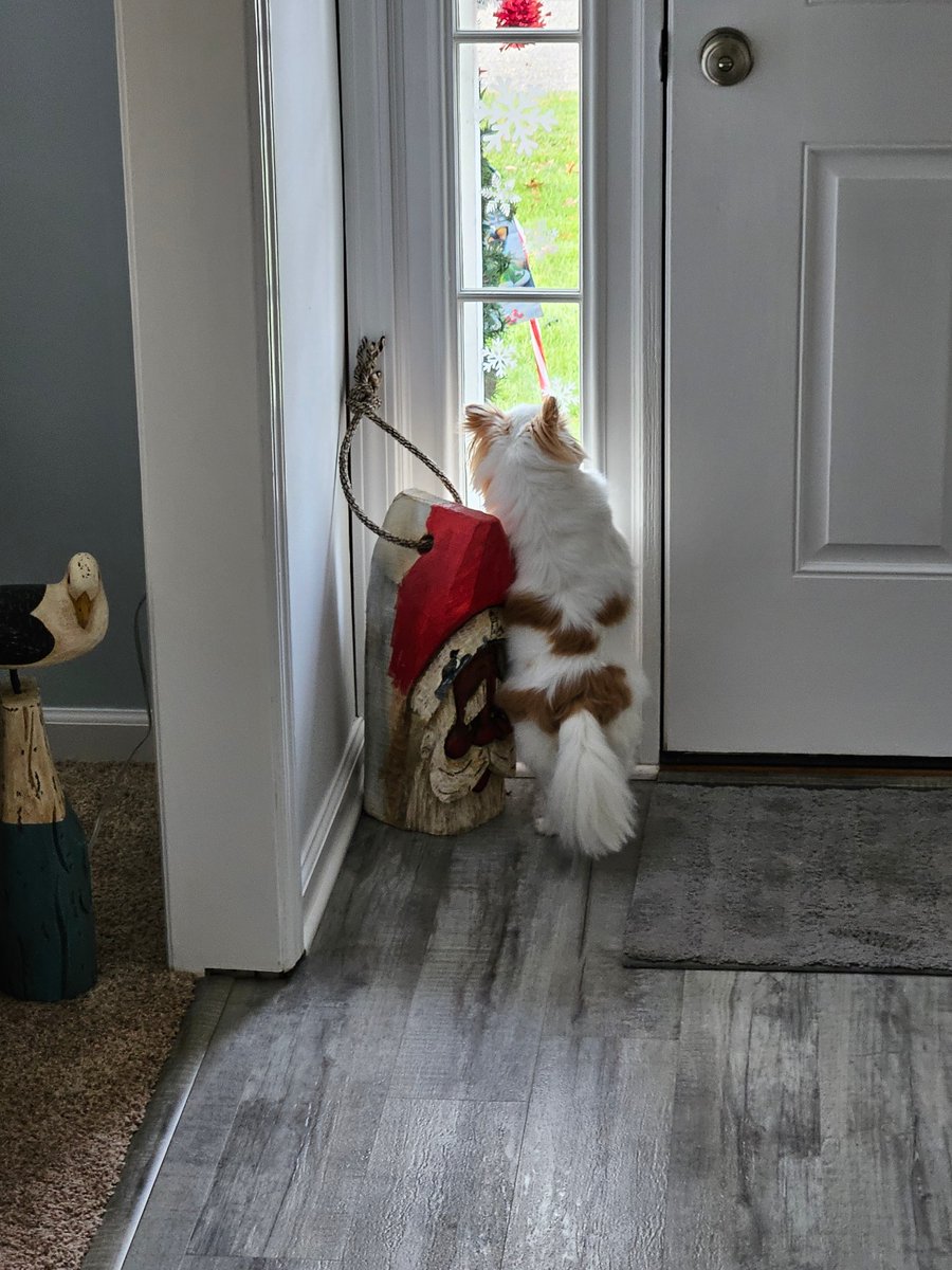 Offshore Oddities𓅣 tweet media