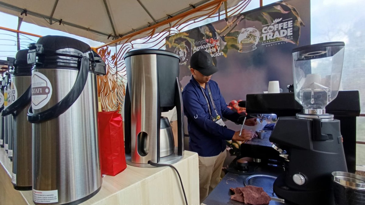 ☕ Guatemala conecta su café con el mundo en #CoffeeTrade a través de #AGRITRADE2026

Cataciones, degustaciones, subasta, rueda de negocios y networking para generar negocios reales con compradores internacionales que buscan calidad y sostenibilidad.