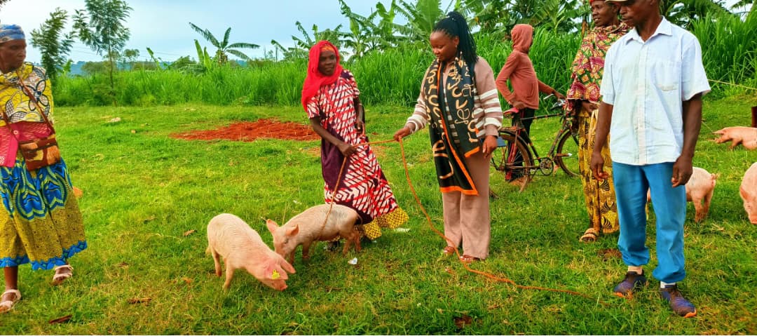 RwandaCejp's tweet image. In addition, the Twiyubakire Program provided us with goats and pigs. Living without support is challenging, poverty limits one’s ability to move forward or plan for the future. With this assistance, we feel more secure, empowered, and ready to embrace a new life.
#PathToPeace