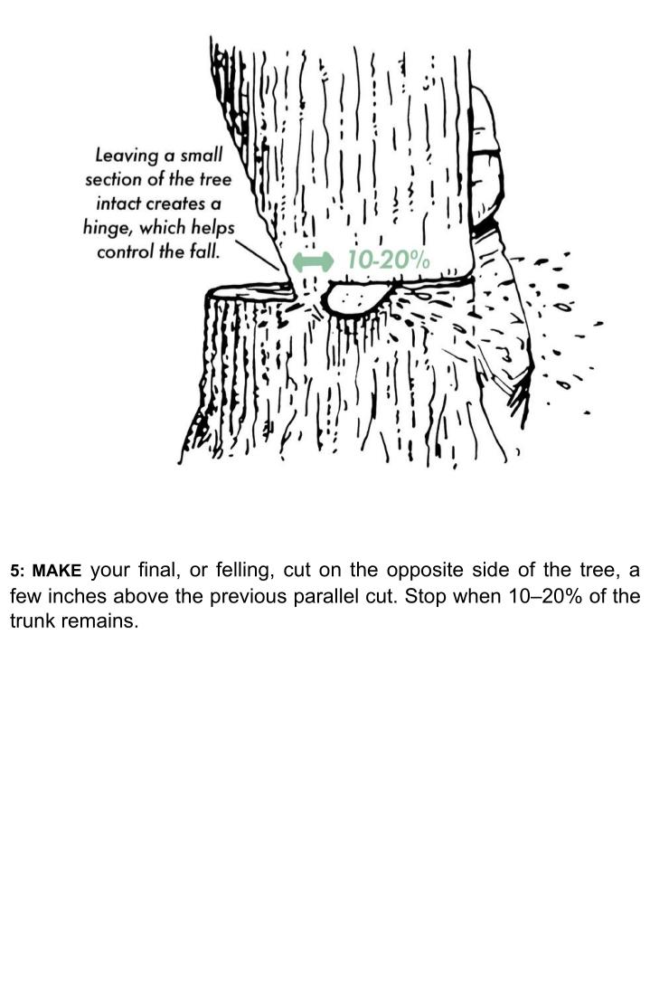 Twisted Mister🇨🇦🇺🇲 tweet media