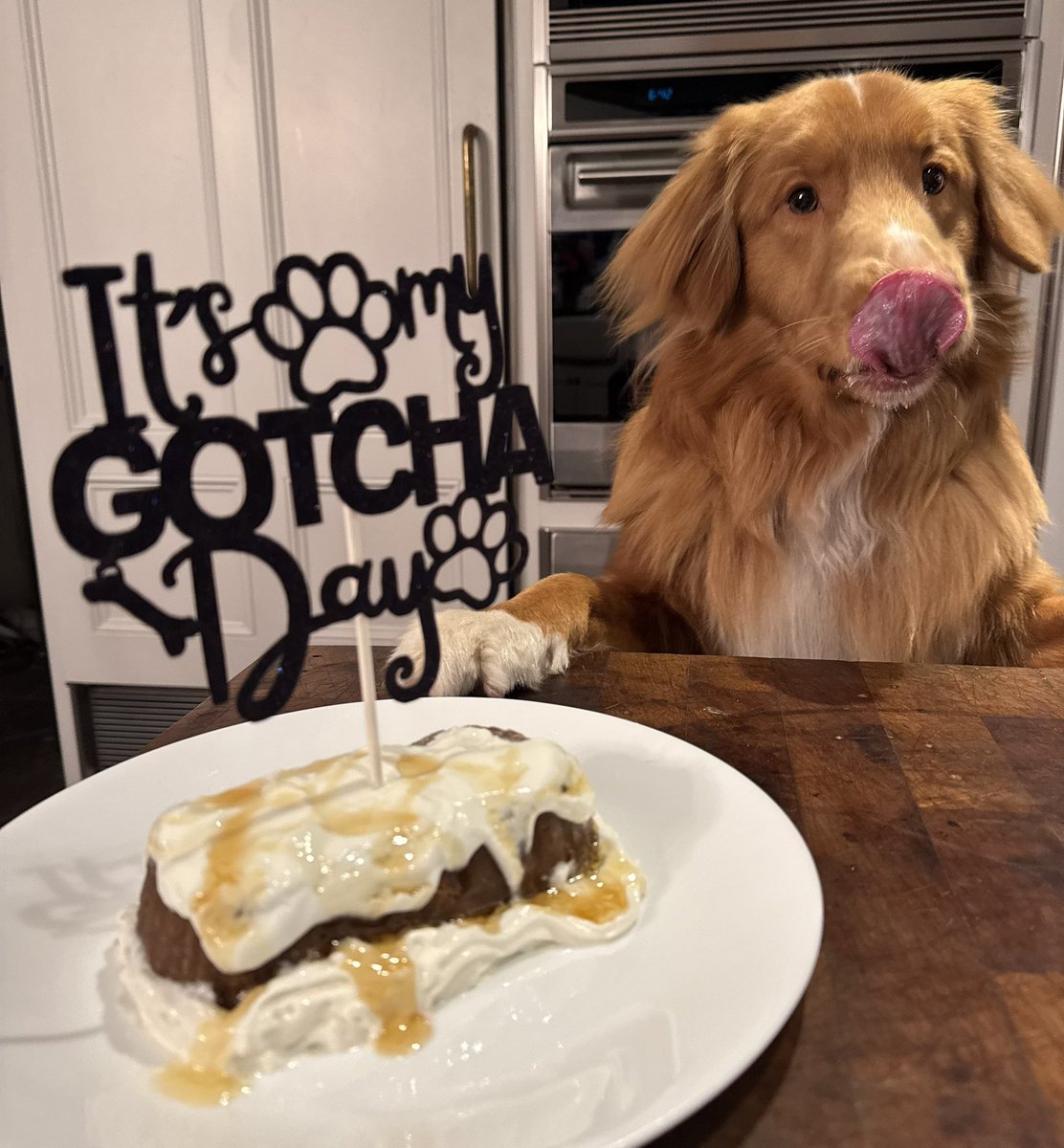 Augie (Shadow 🌈) tweet media