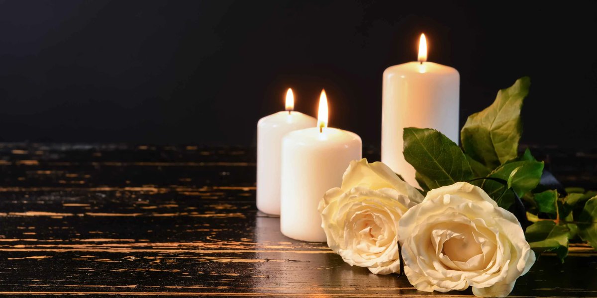 AnahitaPurandokht tweet media