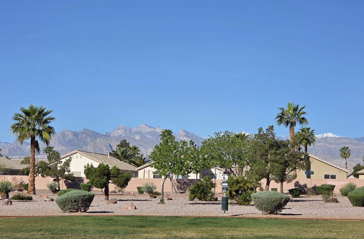 Sean Mcdowell tweet media