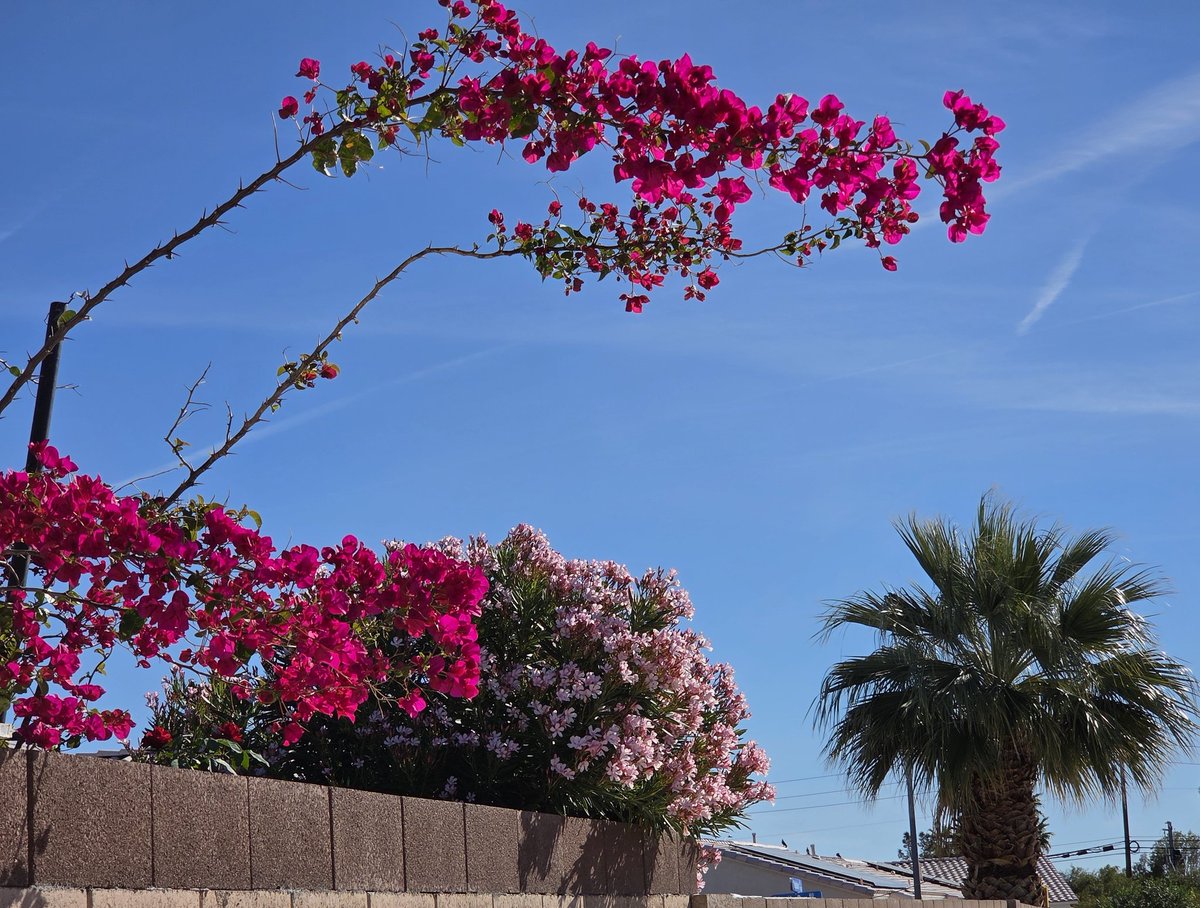 Sean Mcdowell tweet media