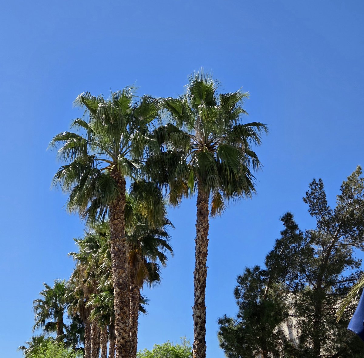 Sean Mcdowell tweet media