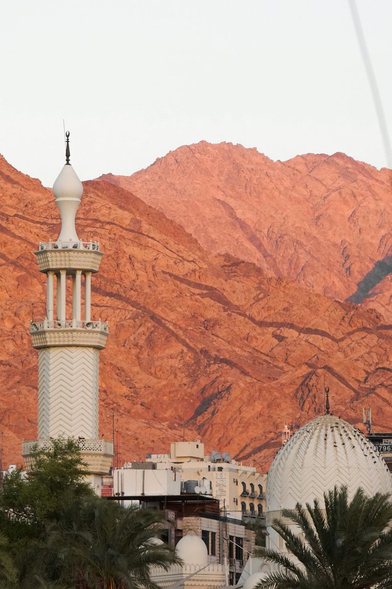 MENA Visuals tweet media