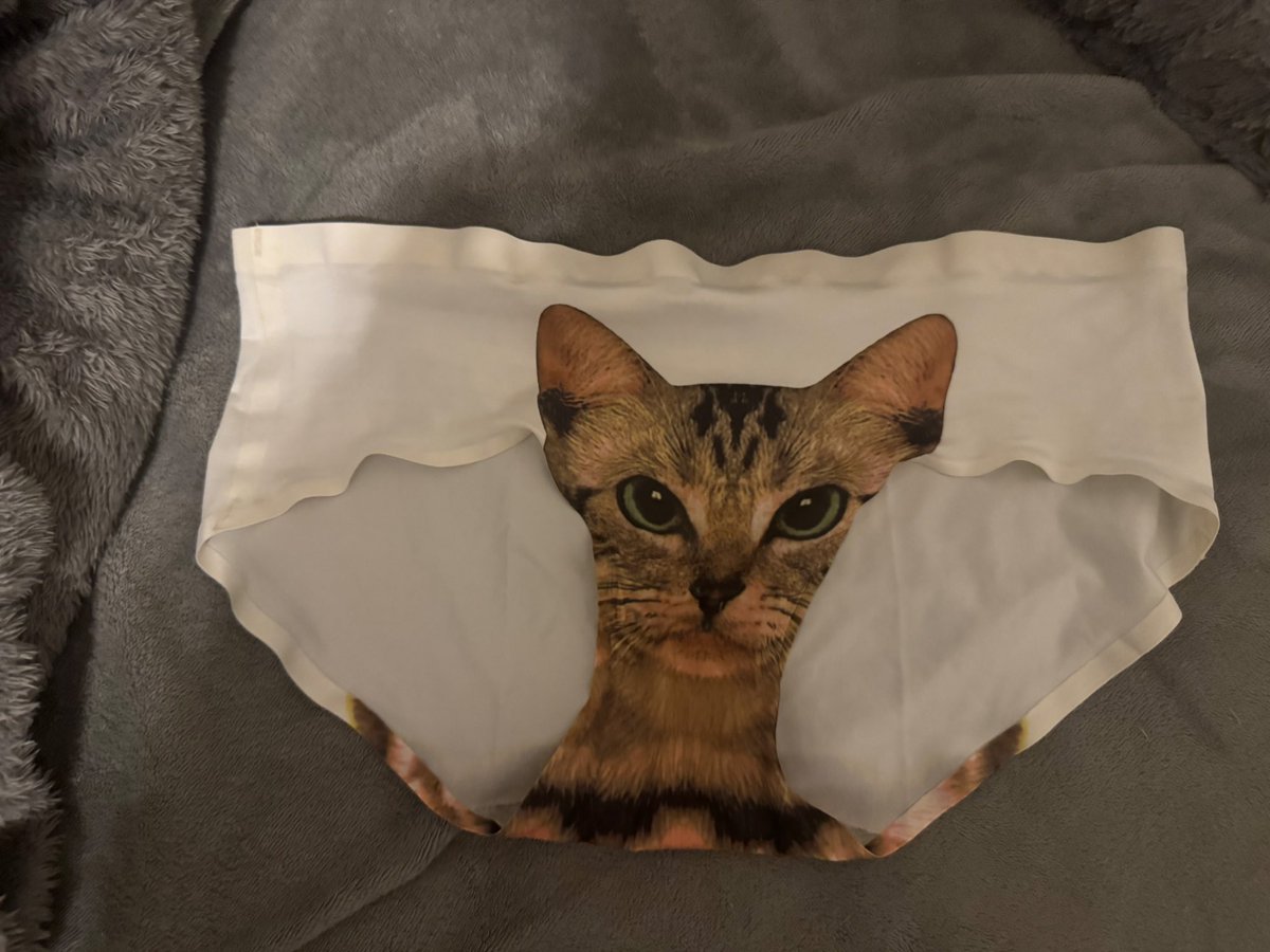 هيرا tweet media