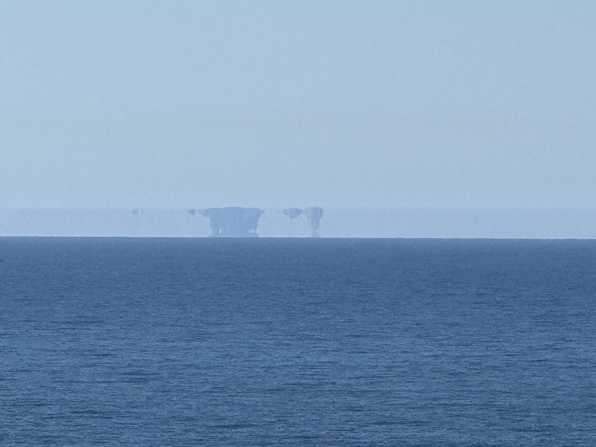 Jack Molmud tweet media