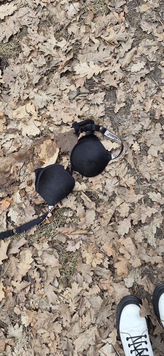 Та ще собака tweet media