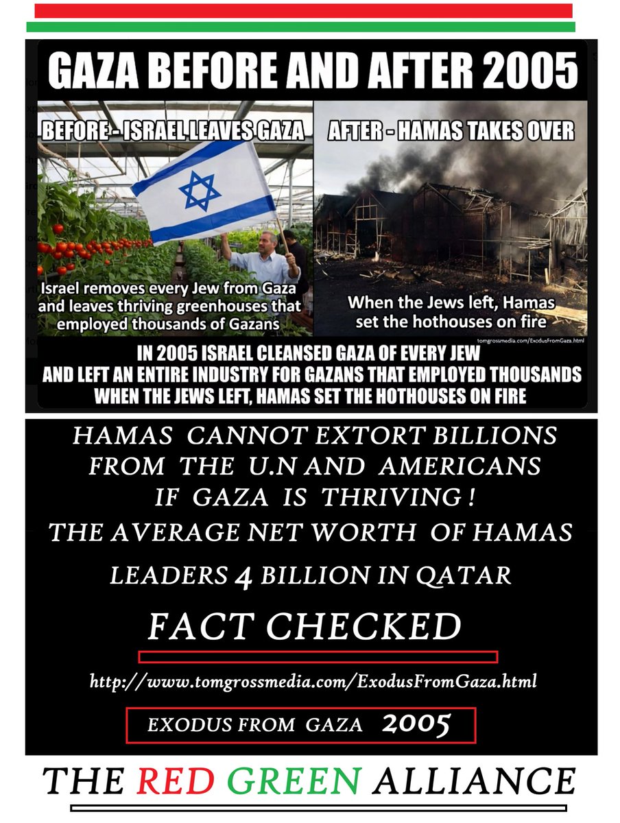 Michaela Schuberg tweet media