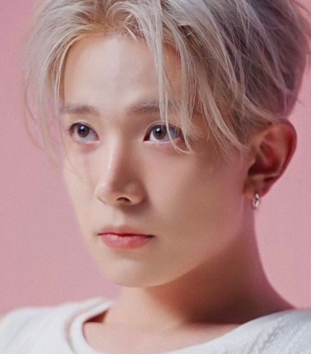 nav 🔗7️⃣ tweet media