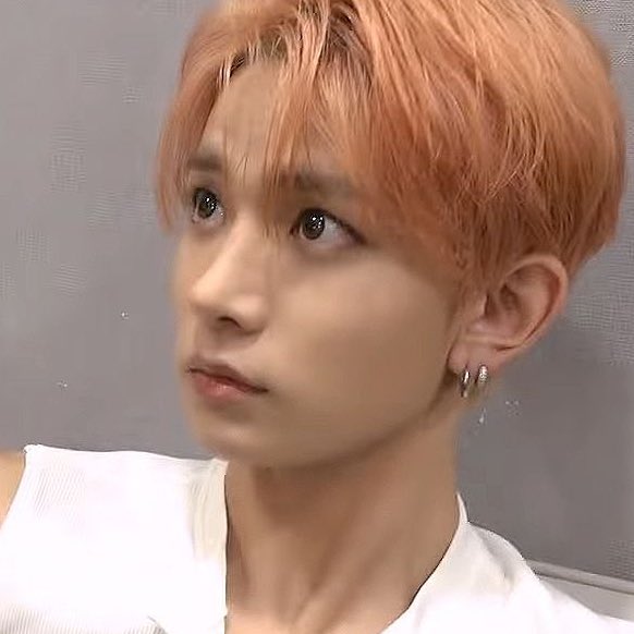 nav 🔗7️⃣ tweet media